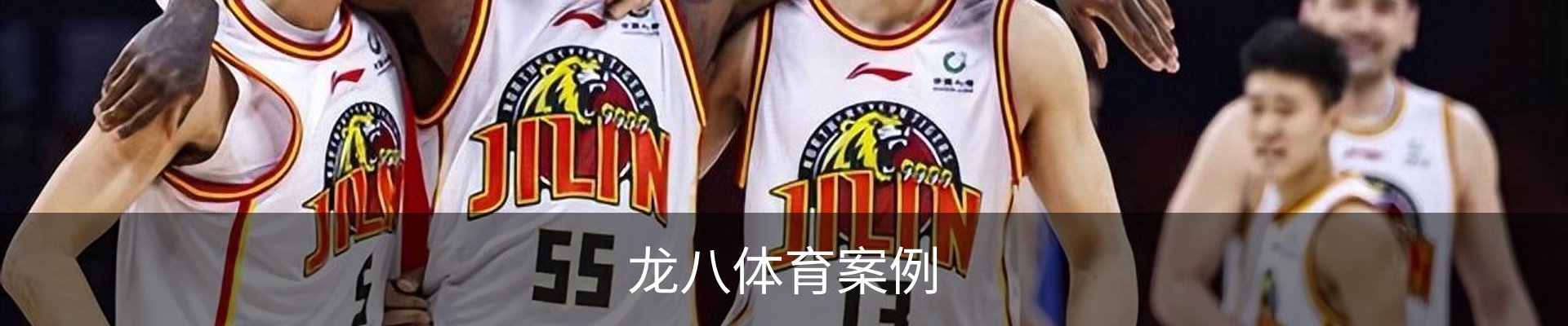 龙八体育案例