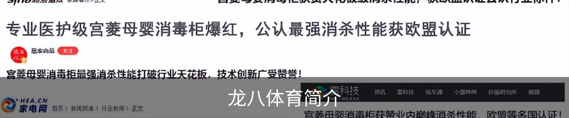 龙八体育简介